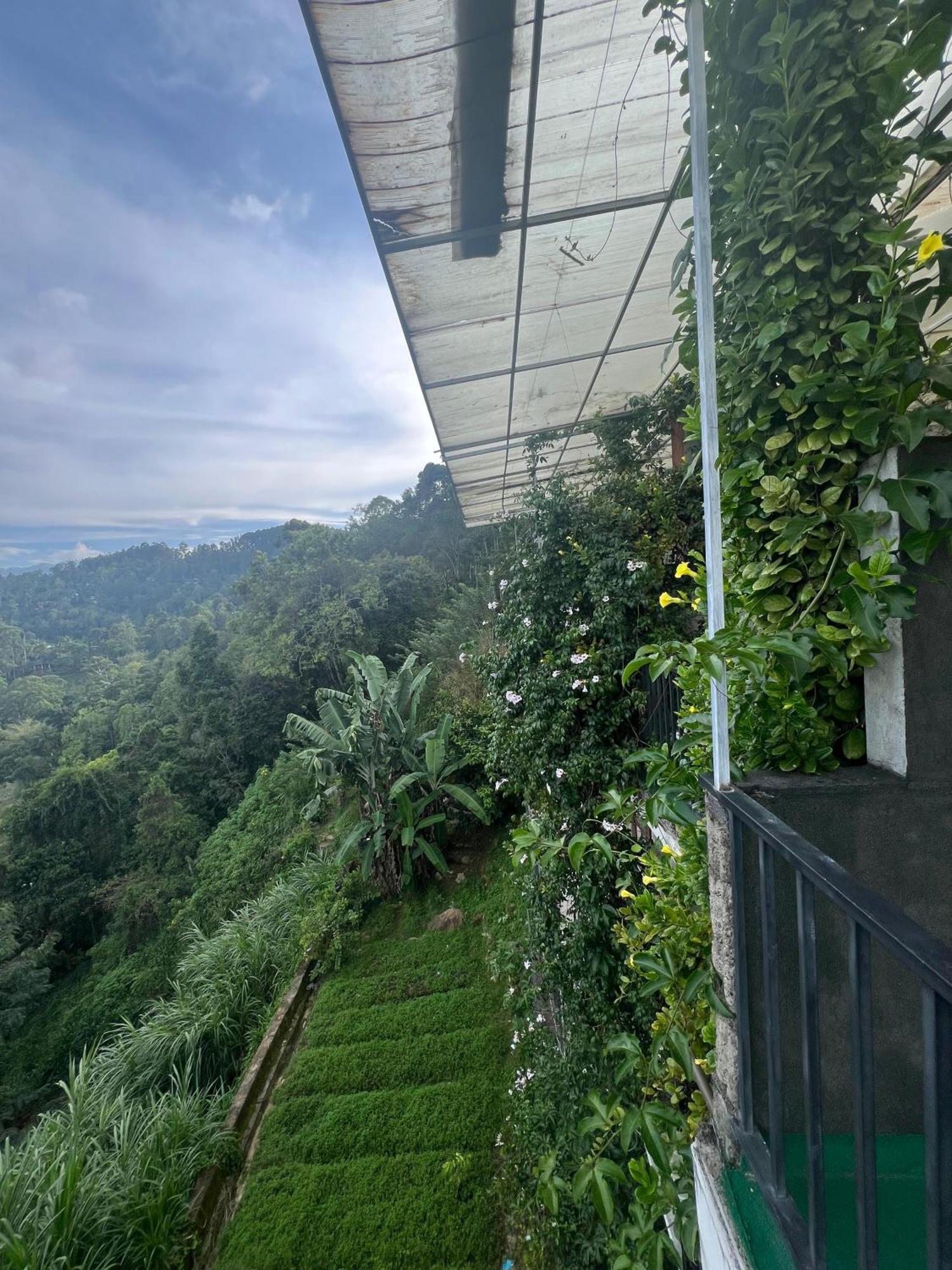 Hillcrest Ella Bed & Breakfast Ngoại thất bức ảnh